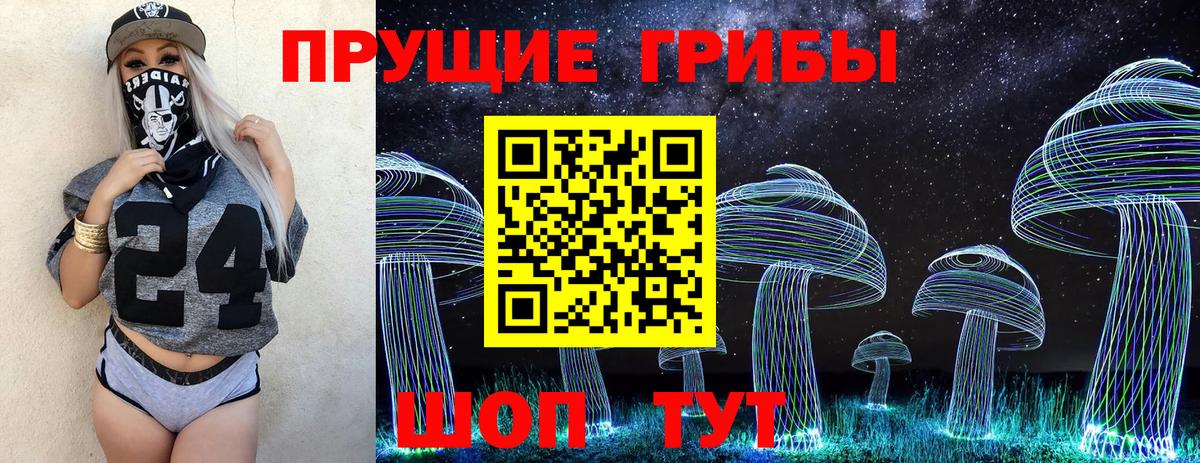 Галлюциногенные грибы Cubensis Коряжма