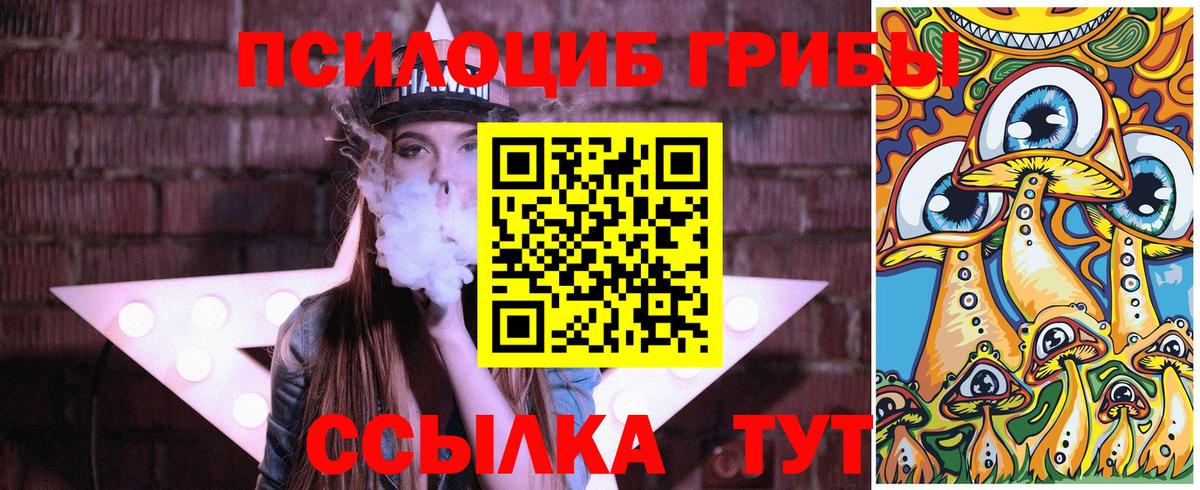 цена   Галлюциногенные грибы MAGIC MUSHROOMS  Коряжма  Псилоцибиновые грибы Psilocybe 