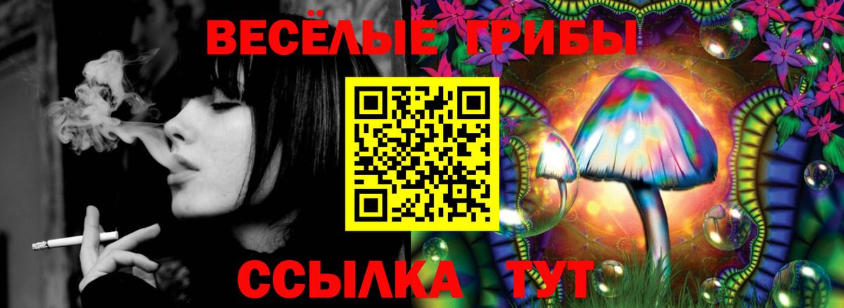 Галлюциногенные грибы Psilocybine cubensis Коряжма